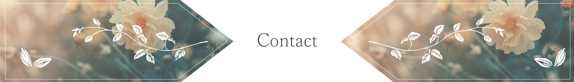 Contact